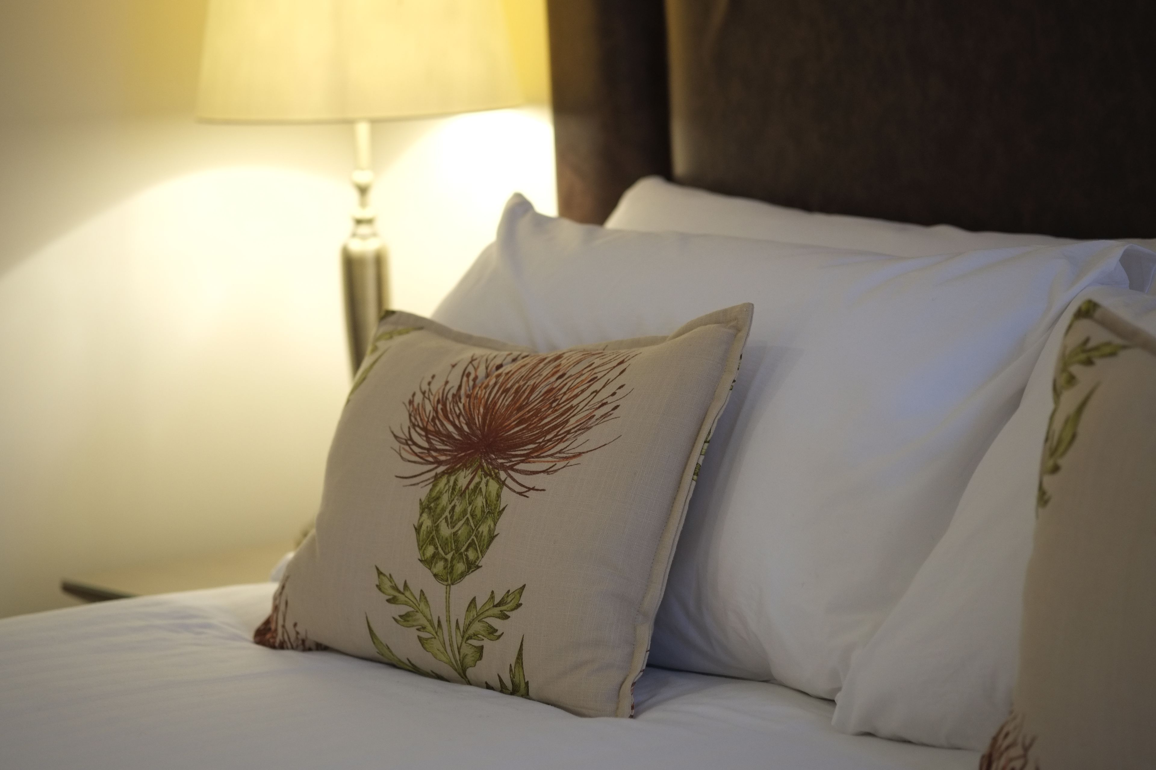 Desk, blackout drapes, iron/ironing board, free WiFi