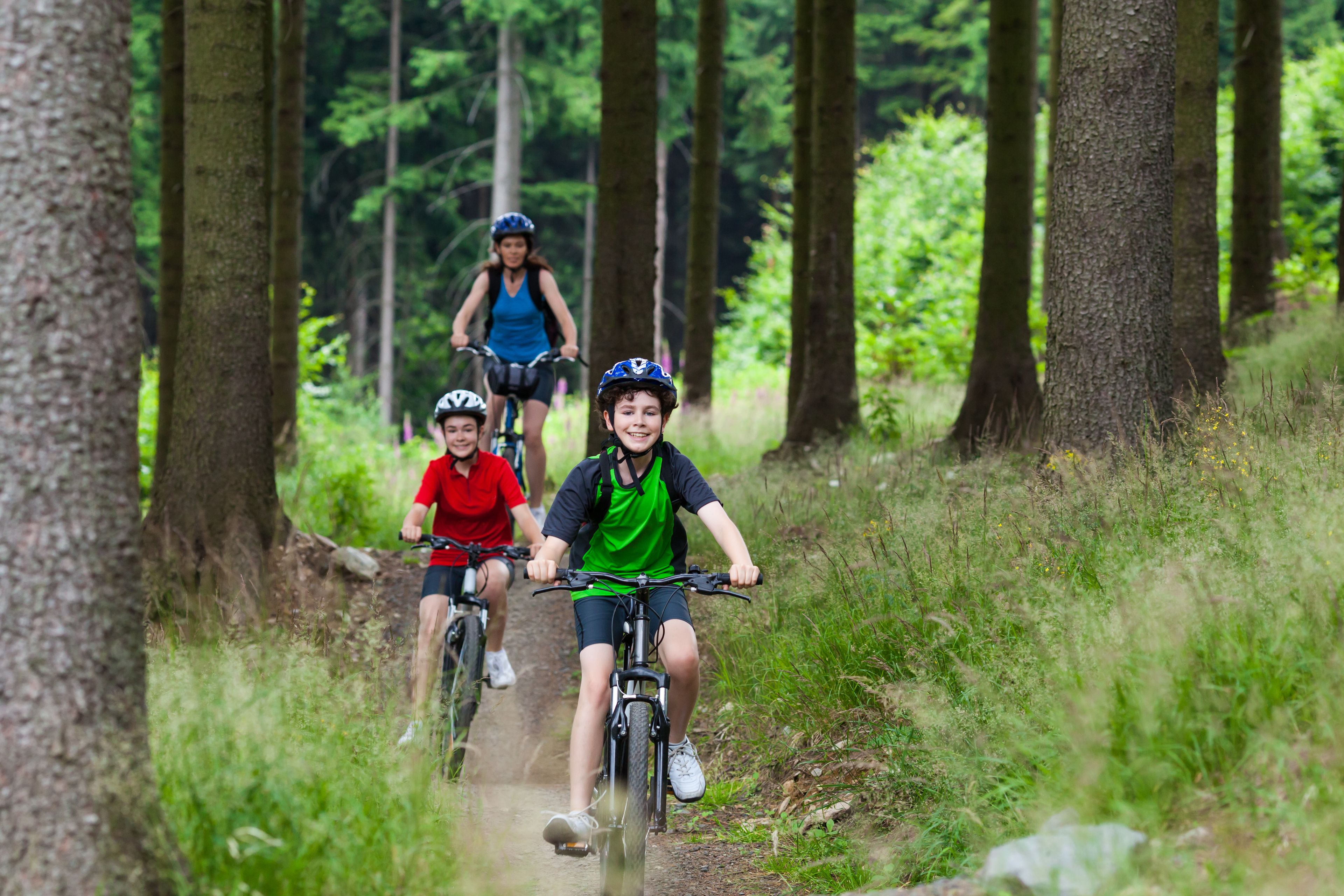 Three cyclists on a forest trail.