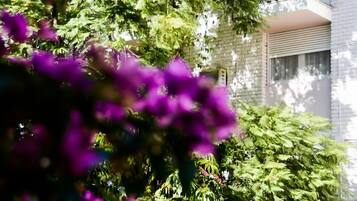 DĂ©tail de lâextĂ©rieur