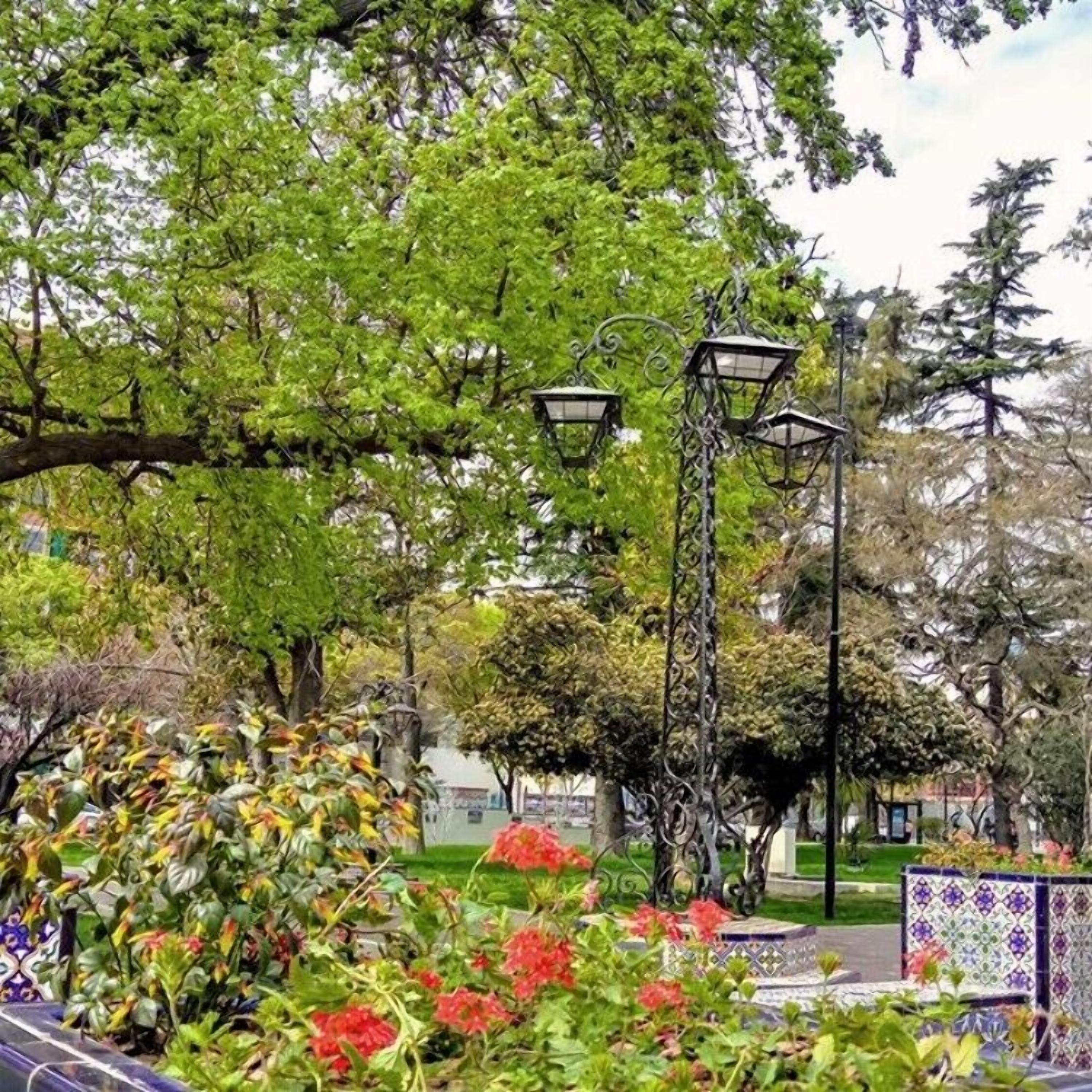 Foto - Hotel Princess