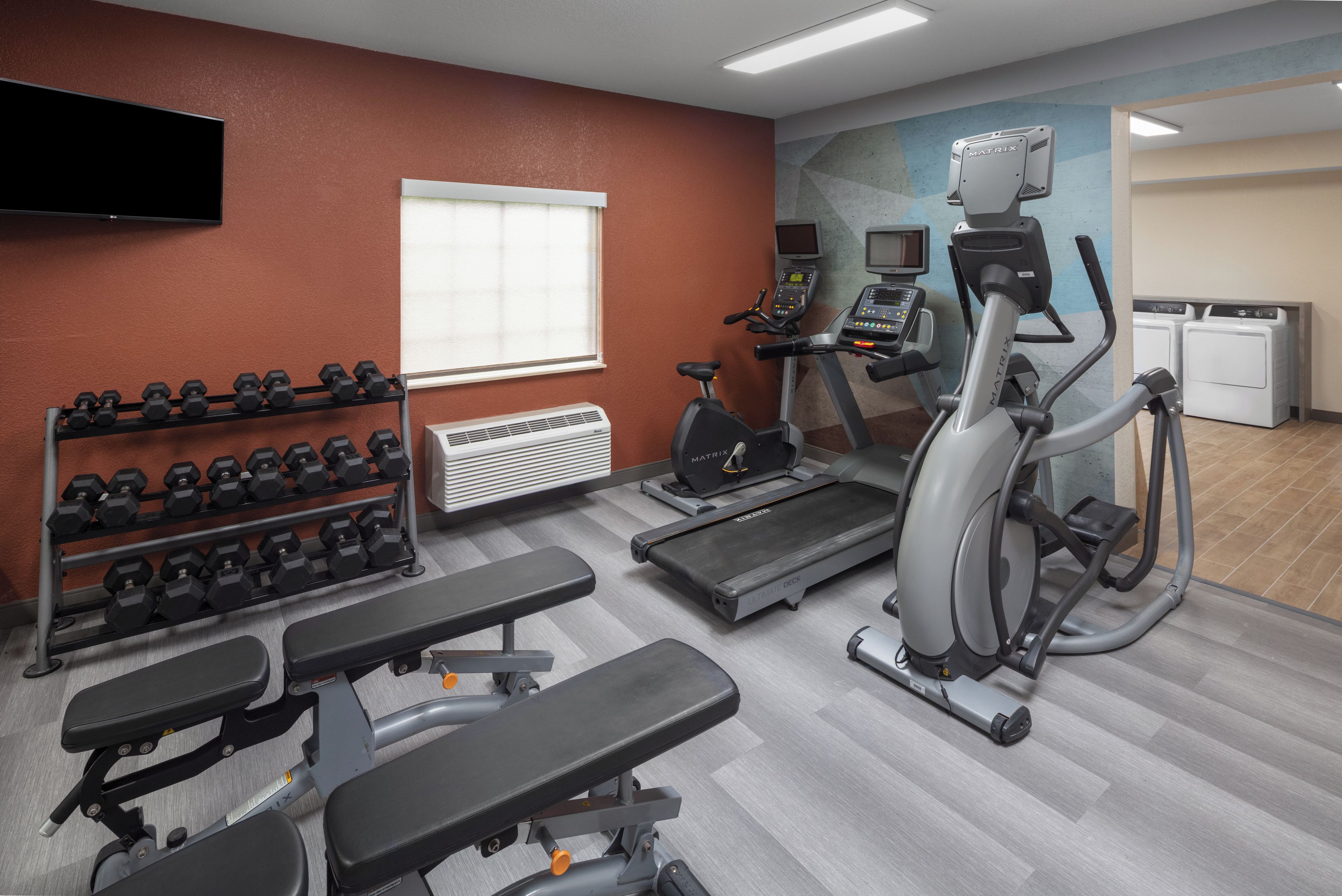 A gym with treadmills, elliptical machines, dumbbells, and benches.