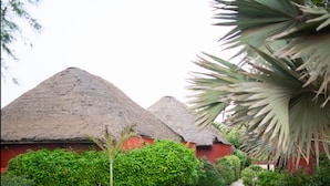 A pathway leading to thatched-roof buildings surrounded by lush greenery and a palm tree. - Royal Horizon Baobab - All inclusive (La Somone)