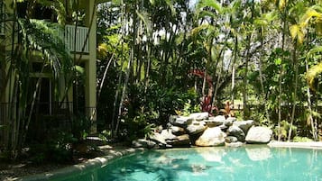 Outdoor pool, open 8:00 AM to 10:00 PM, sun loungers