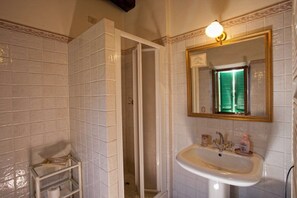 Standard Double Room | Bilik Mandi | Pancuran mandi, kelengkapan dandanan diri percuma, pengering rambut