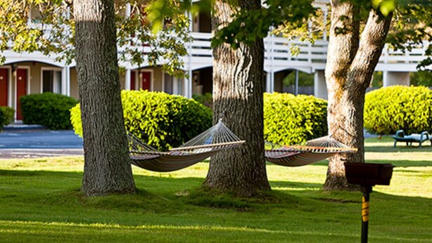 A hammock between two trees in a grassy area with a building in the background. - Ocean Park Inn (Eastham)