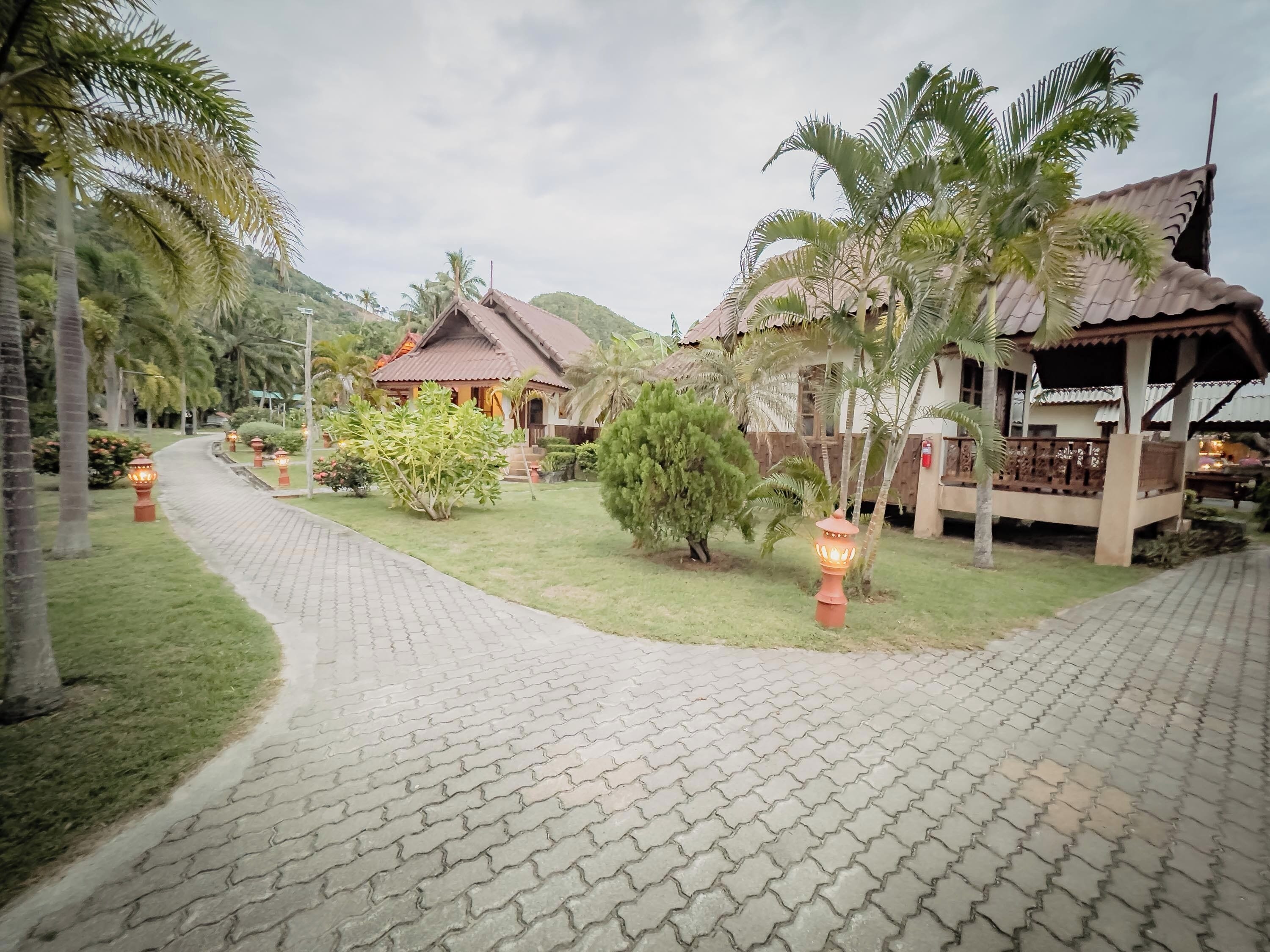 Taman