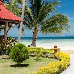 Superior Poolside or Seaside Cottage | Beach | On the beach, beach umbrellas, beach bar