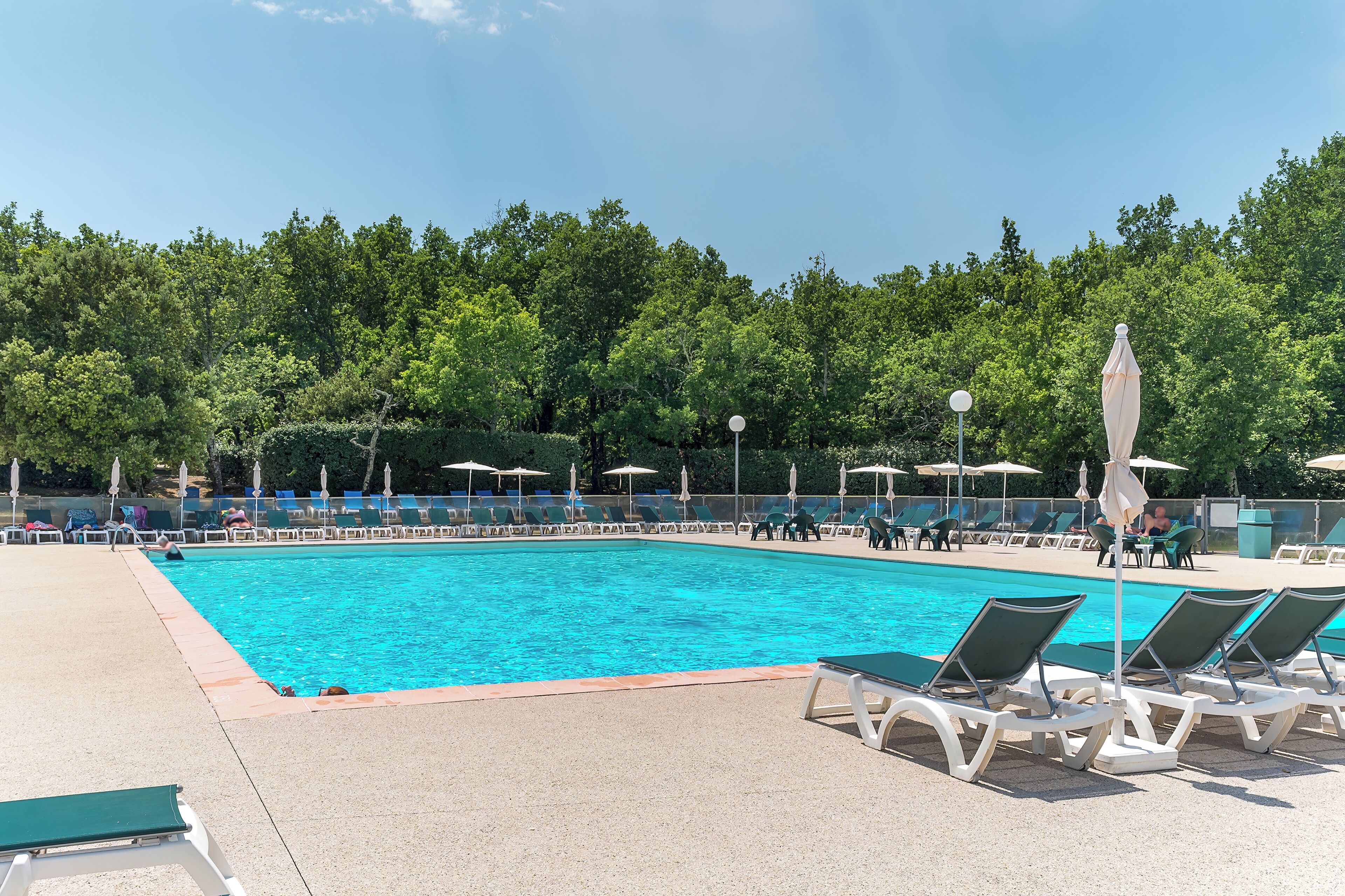 A swimming pool with lounge chairs and umbrellas, surrounded by trees.