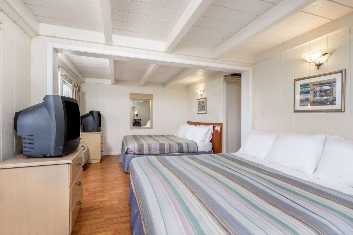 A bedroom with two beds, a television on a dresser, a mirror, and a framed picture on the wall.
