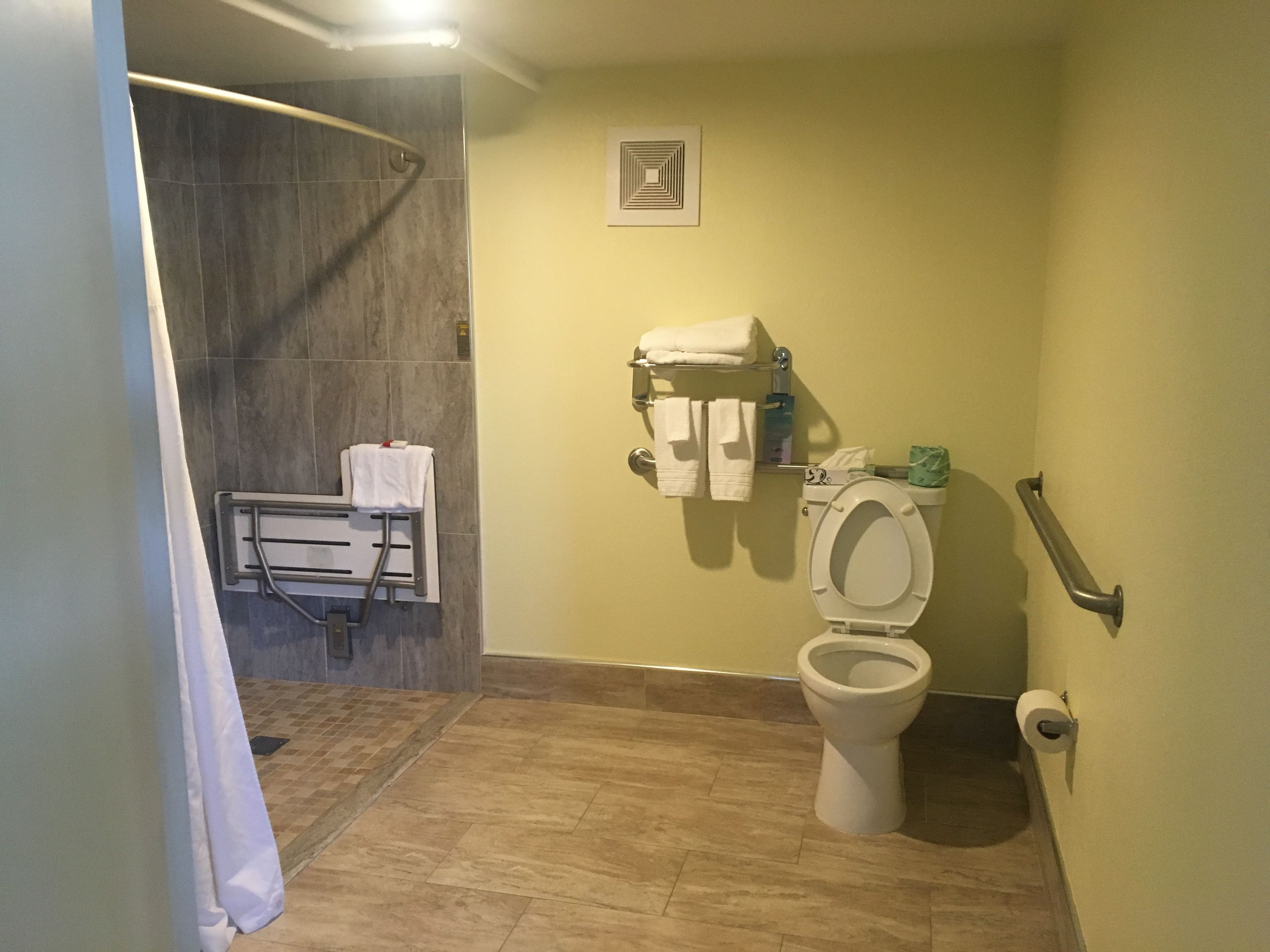 A bathroom with a shower, toilet, and towel rack.