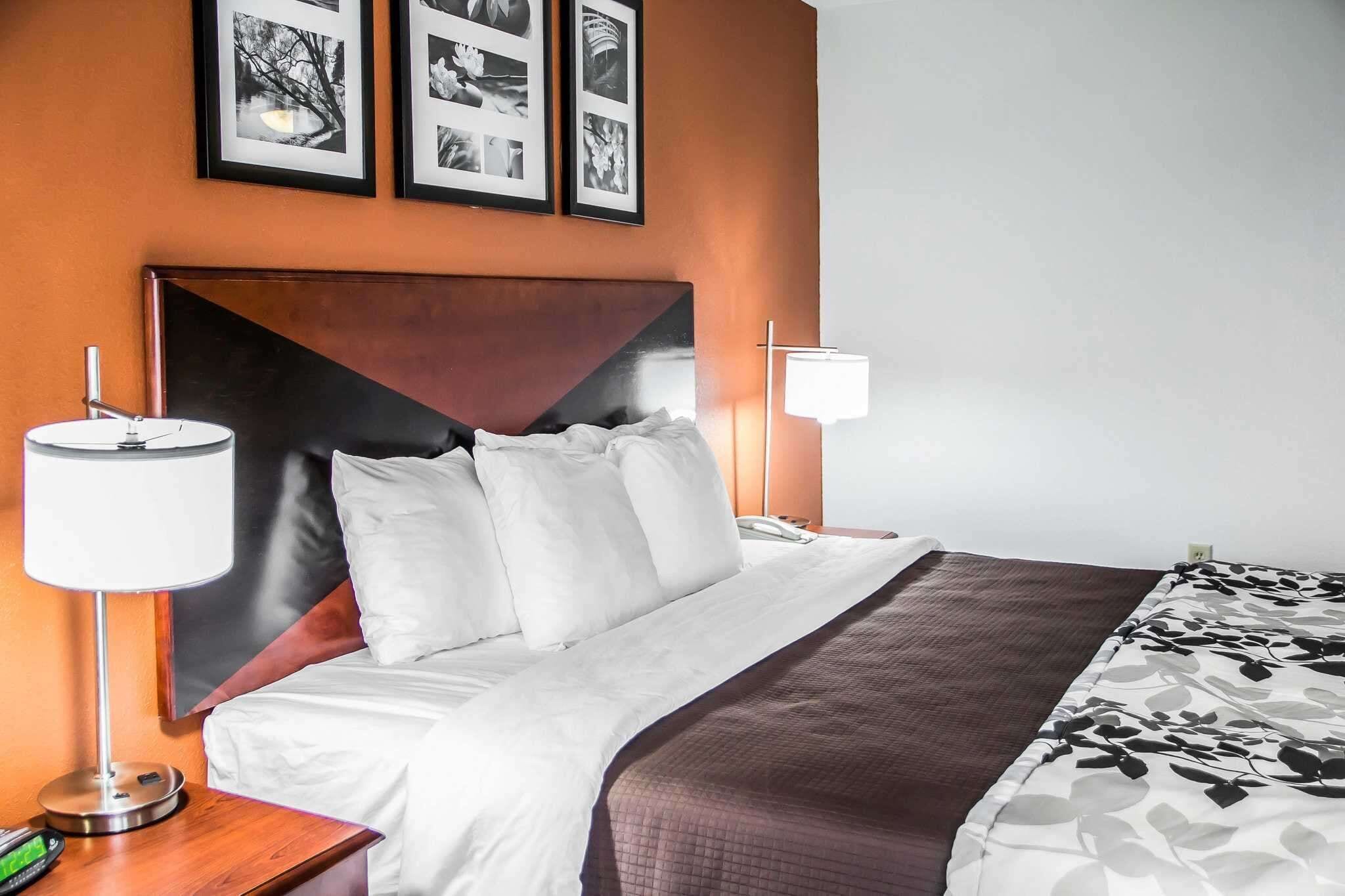 standard room, 1 king bed, non smoking | desk, iron/ironing board, rollaway beds, wifi