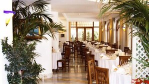 Une grande salle à manger où les tables sont dressées pour le repas, entourée de grands pots de plantes et de chaises en bois.