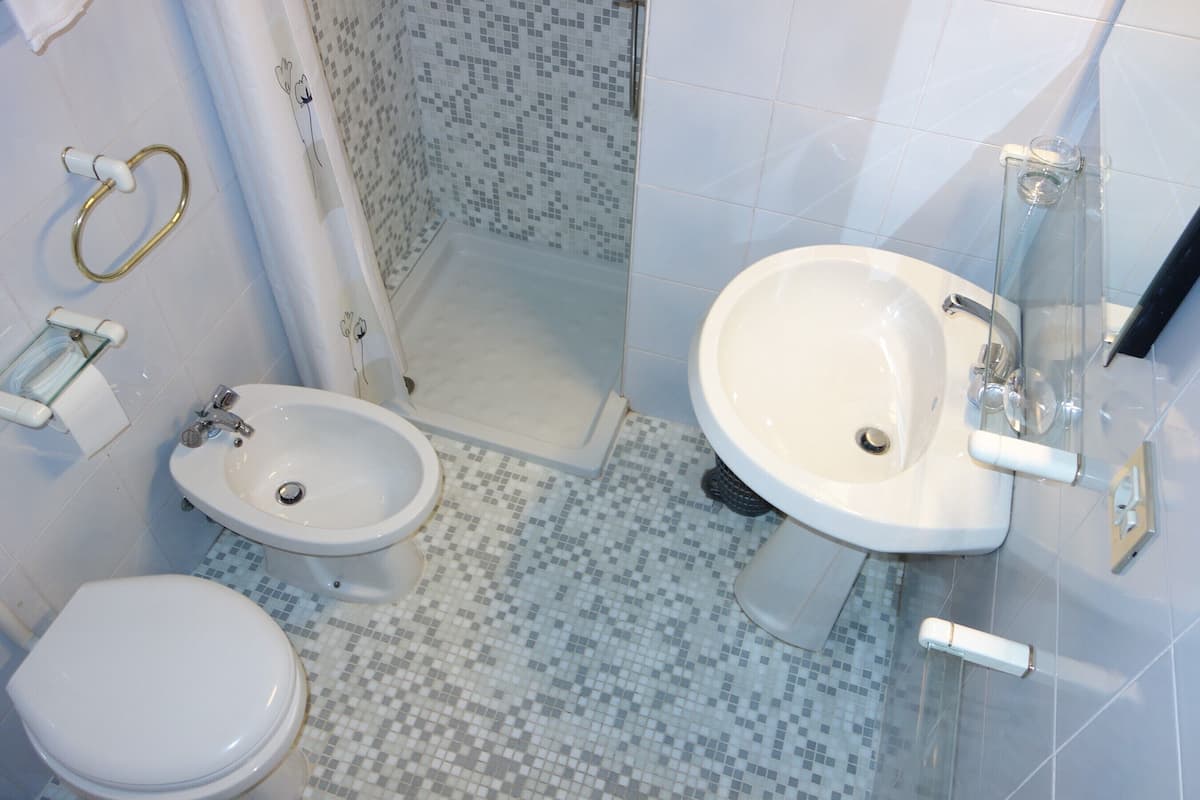 hair dryer, bathrobes, bidet, towels