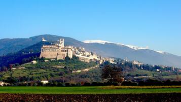 Un castillo histórico en una colina con vistas despejadas del paisaje circundante y una montaña distante.