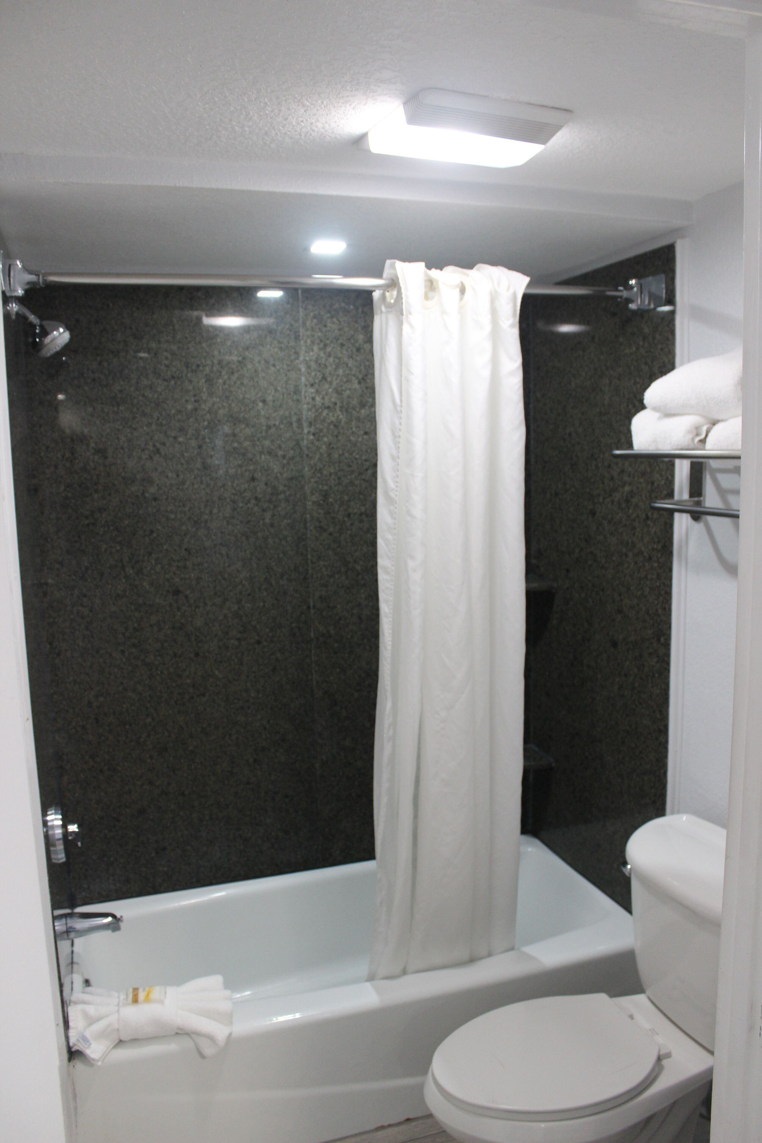 A bathroom with a bathtub, toilet, and a shower curtain.