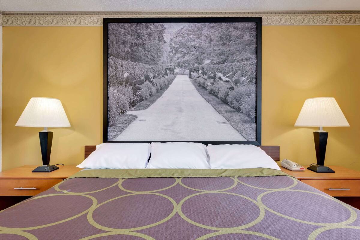 Une chambre d’hôtel avec un lit, deux tables de chevet avec des lampes, un grand tableau encadré au mur et une couvre-lit à motifs.
