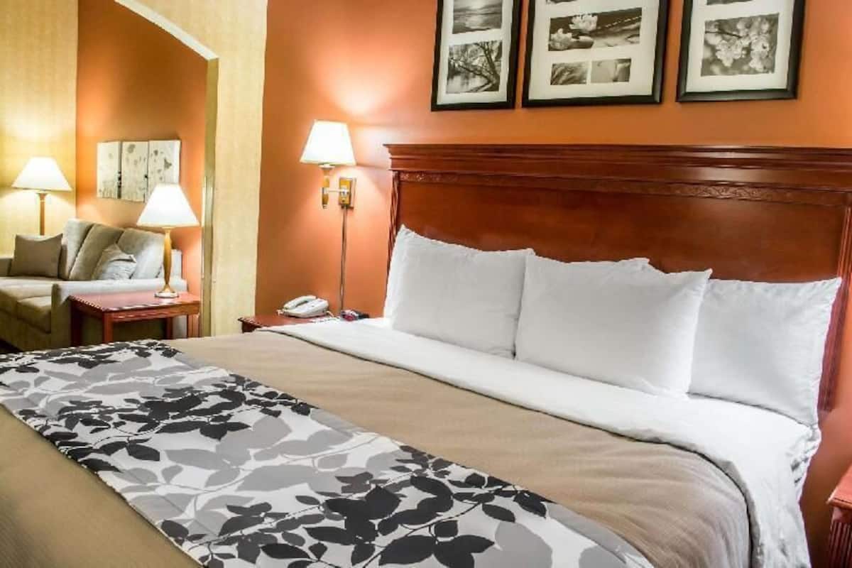 Ropa de cama de alta calidad, edredón y camas con pillow-top