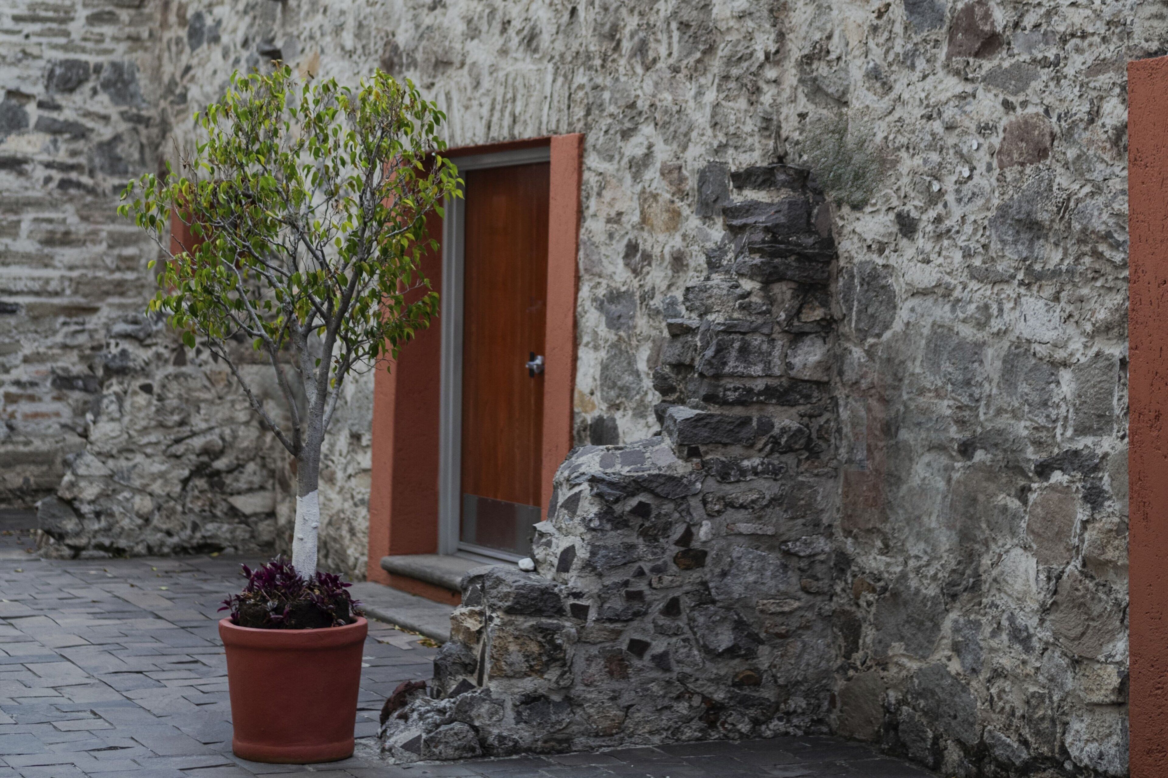 Photo - City Express by Marriott Puebla Centro