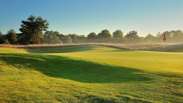 A golf course with a flagstick, trees, and a clear sky. - Hotel Papendal (Arnhem)