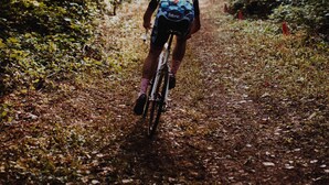 A cyclist on a dirt path surrounded by trees. - Hotel Papendal (Arnhem)