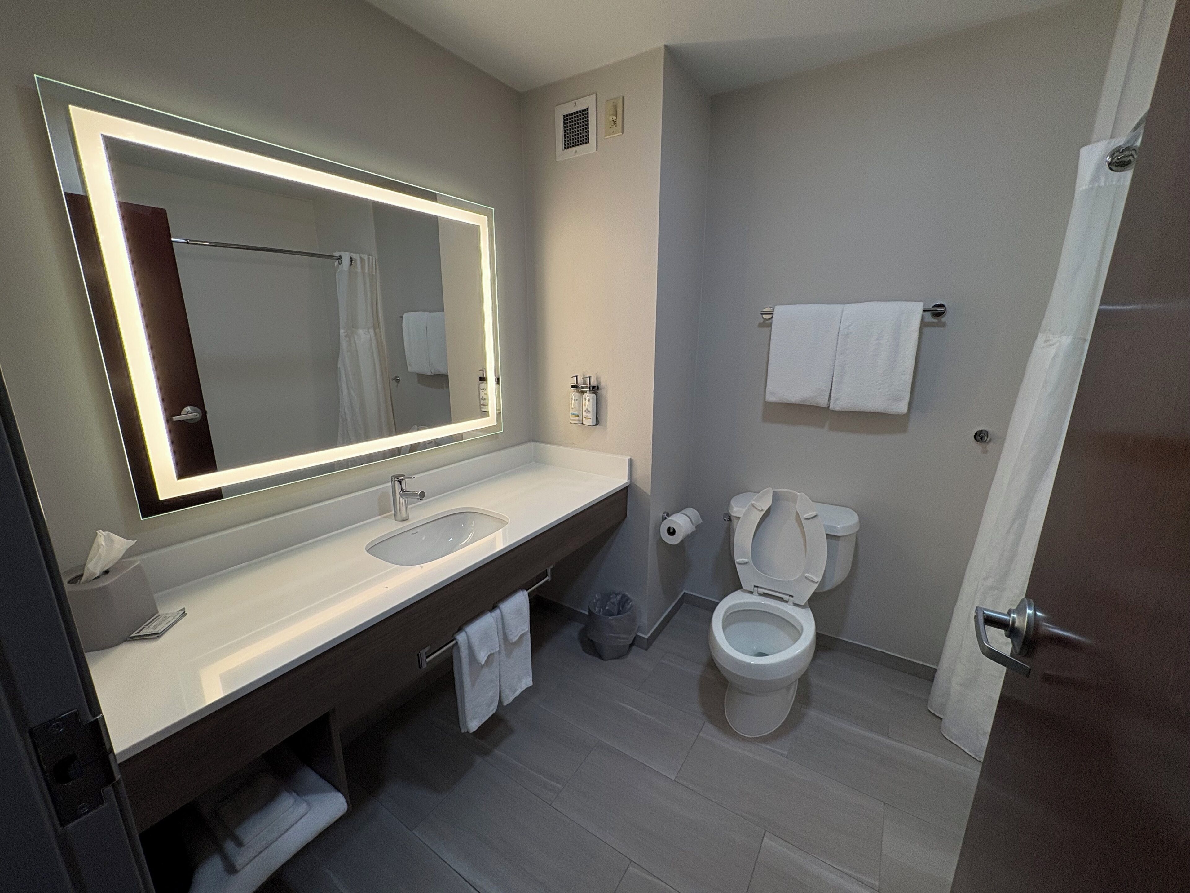 Foto - Holiday Inn Express Hotel & Suites Lafayette by IHG