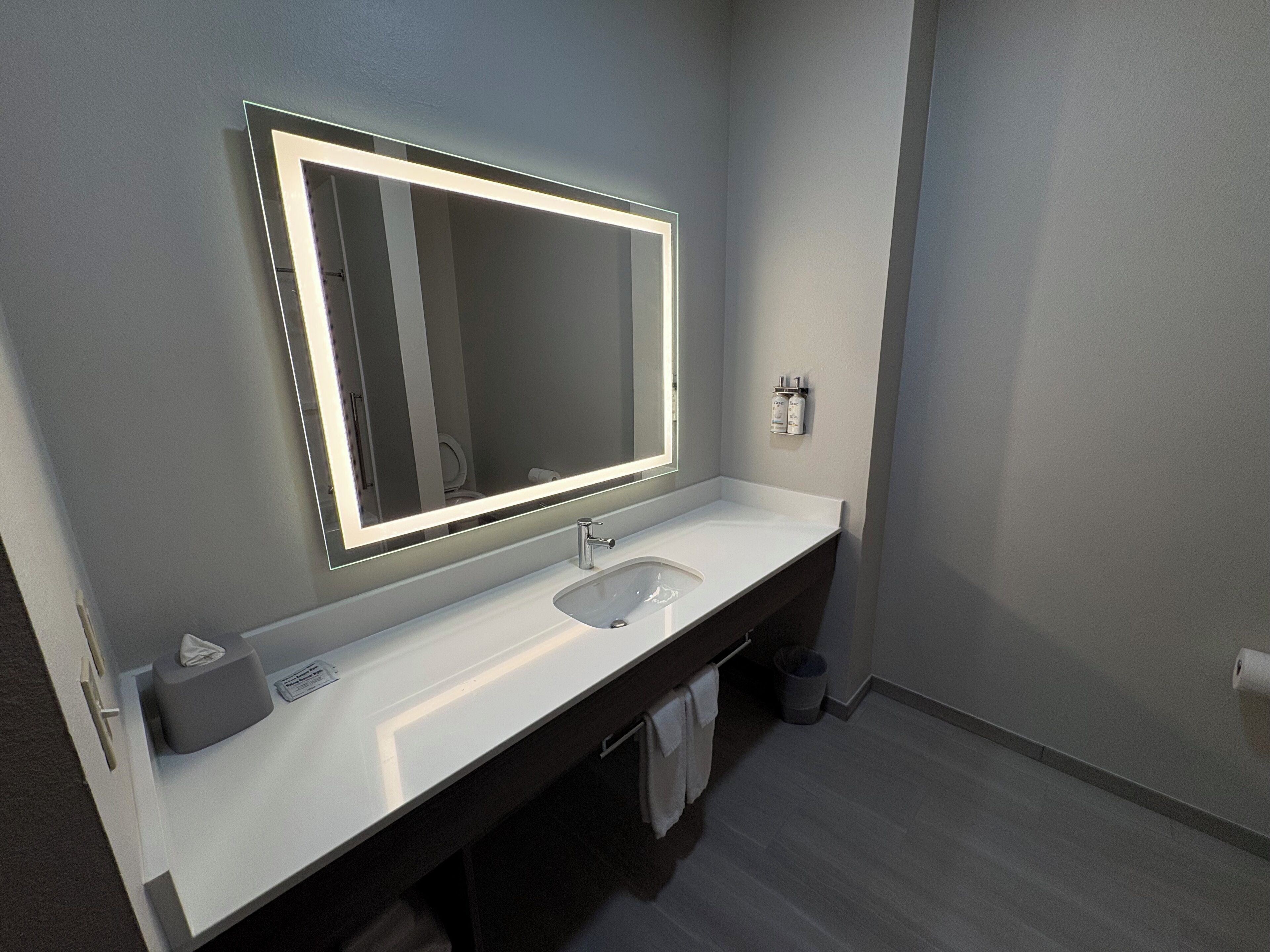 Foto - Holiday Inn Express Hotel & Suites Lafayette by IHG