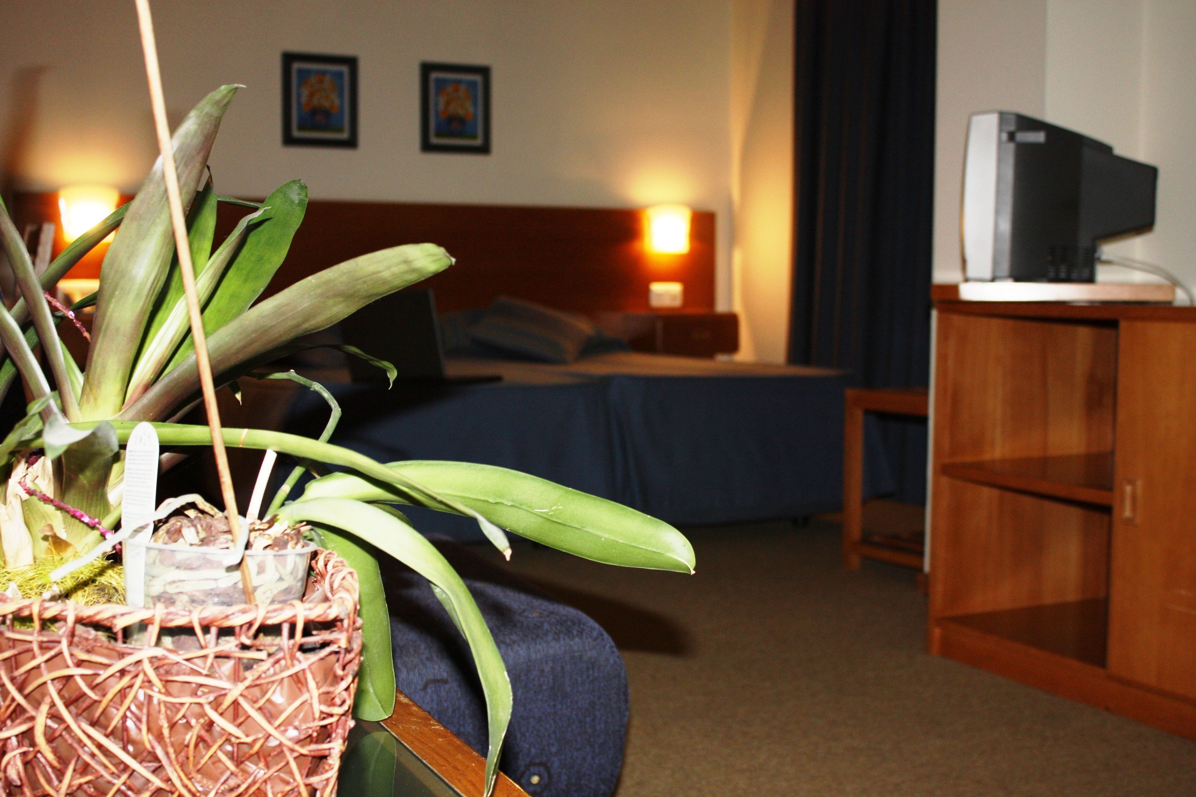 Foto - Hotel das Taipas