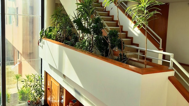 A multi-level interior with a staircase surrounded by potted plants, a seating area with a sofa and table, and a view of the outside through large windows. - Hotel das Taipas (Guimarães)