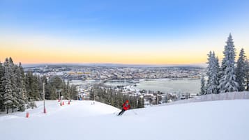 Skifahren