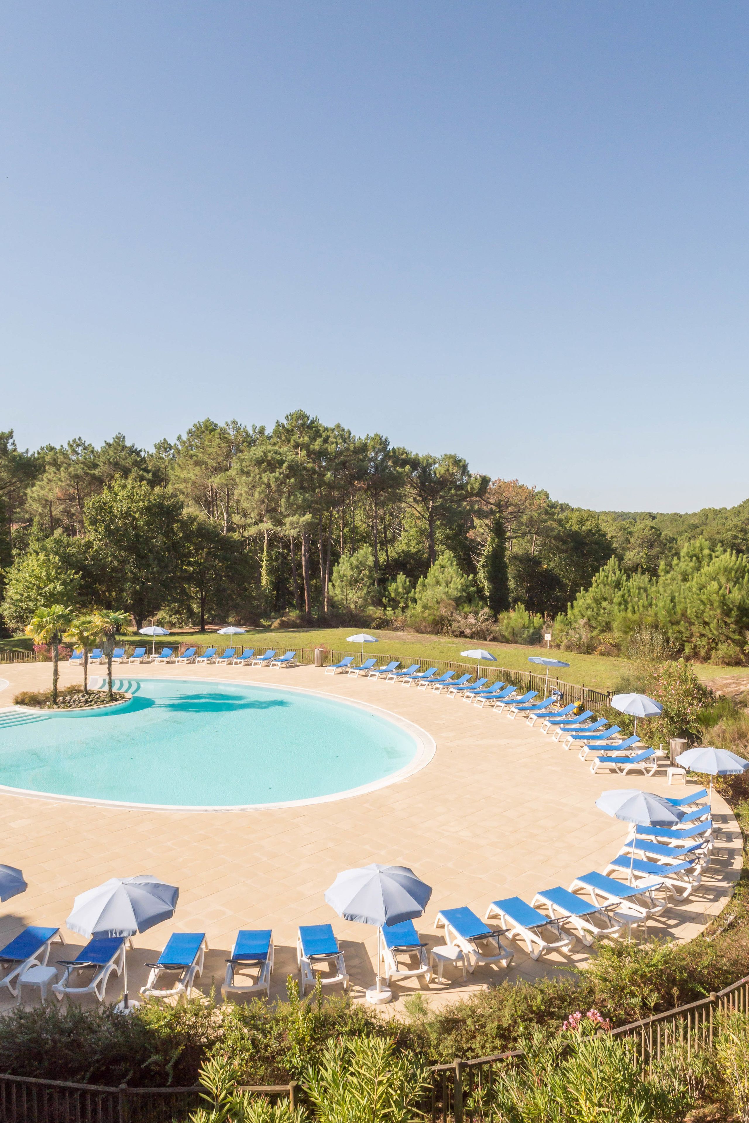 A pool area with blue lounge chairs and umbrellas, surrounded by trees.