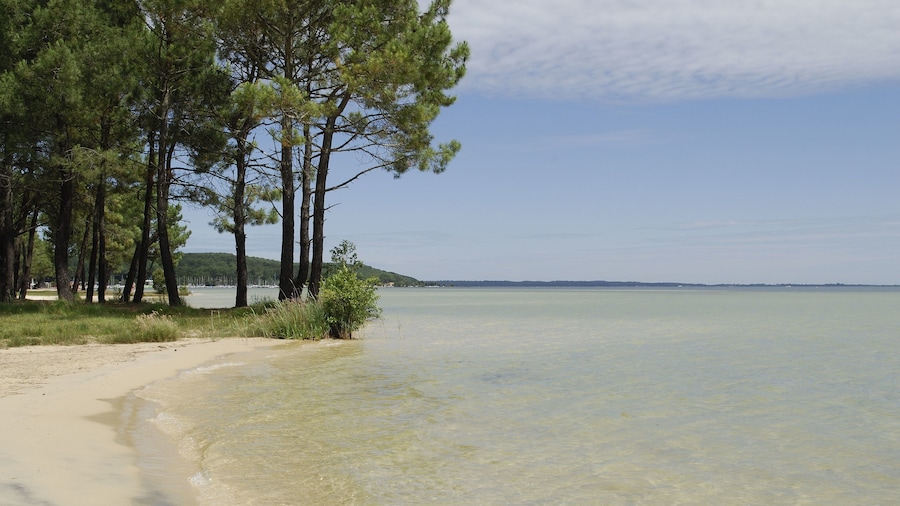 Pierre & Vacances Résidence Domaine de Gascogne Biscarrosse