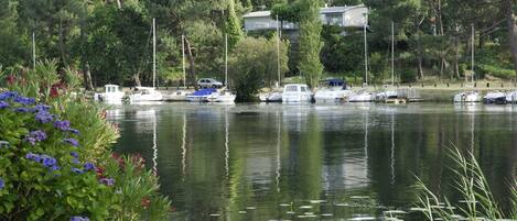 A calm lake with boats docked, surrounded by lush greenery and trees.