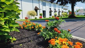 A hotel with a row of windows, a parking lot, and a garden with marigold flowers. - Ambassador Inn & Suites (South Yarmouth)
