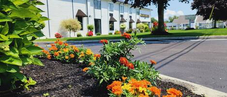 A hotel with a row of windows, a parking lot, and a garden with marigold flowers.
