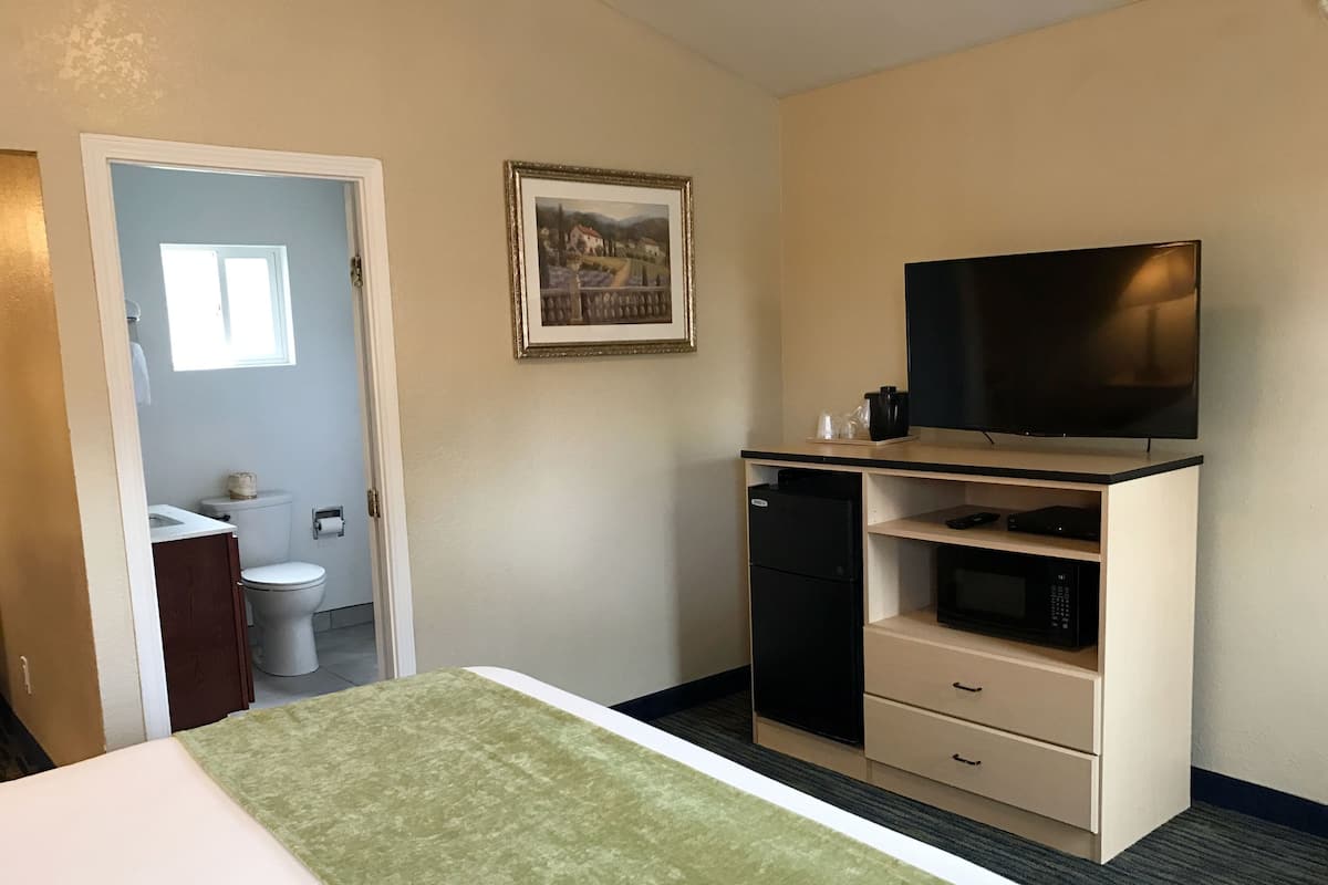 A hotel room with a bed, a television, a microwave, and a small refrigerator.