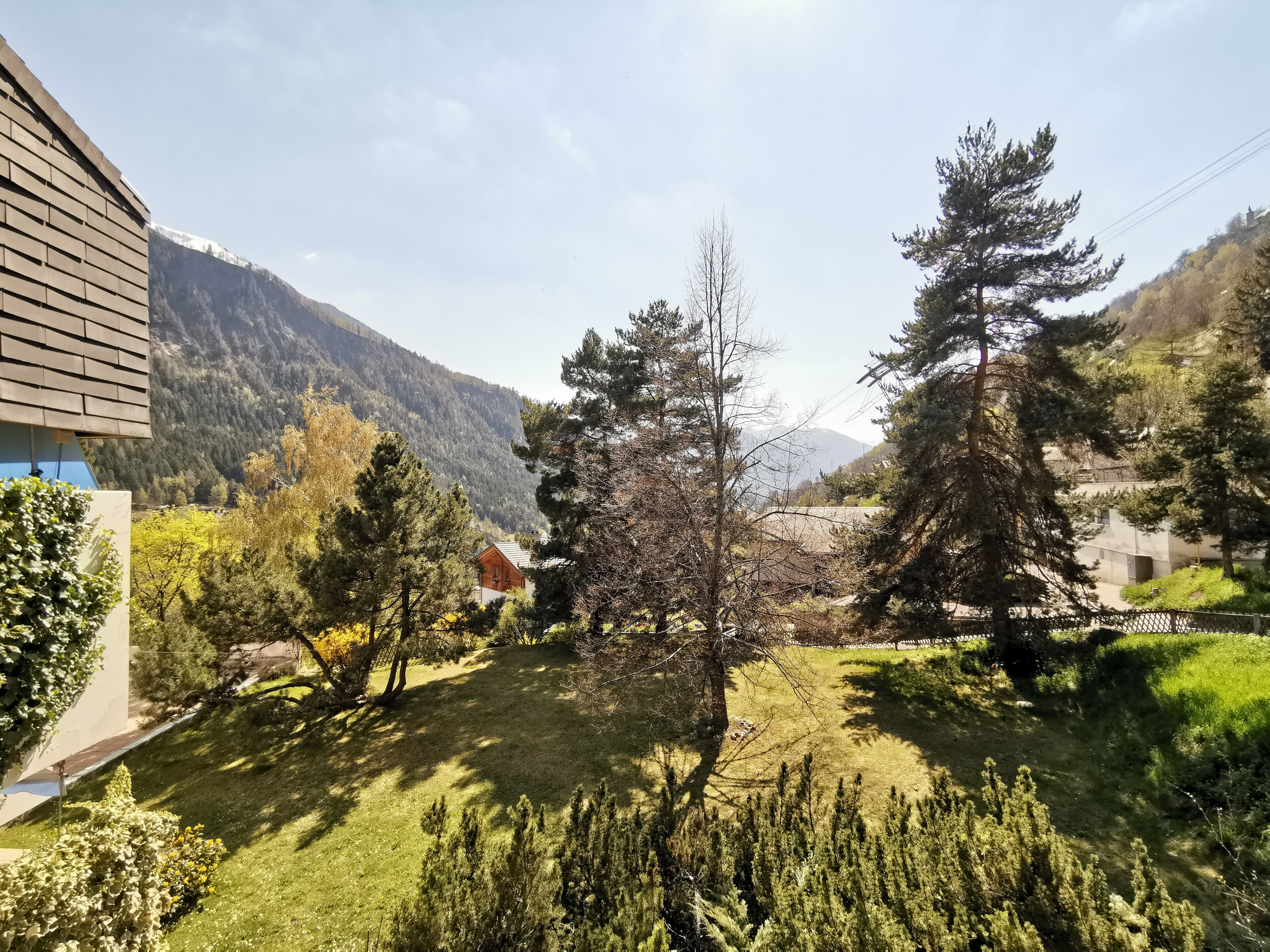 economy suite | mountain view