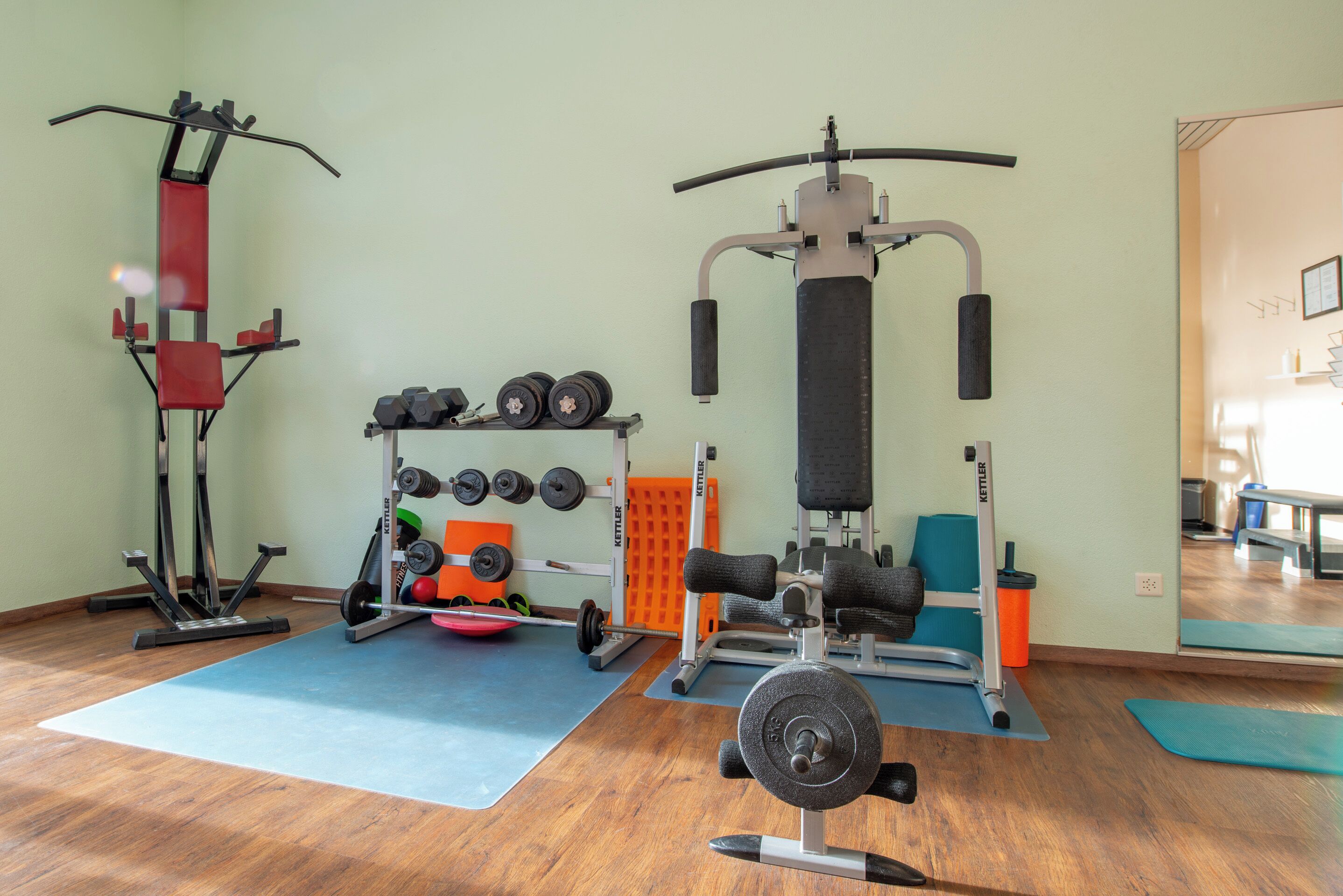 Une salle de sport équipée de matériel d’exercice, de supports pour les poids et d’un tapis bleu.