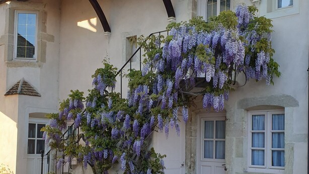 A building with a stone facade, a sloped roof, and a hanging purple flower wall. - Beaune Hotel (Beaune)