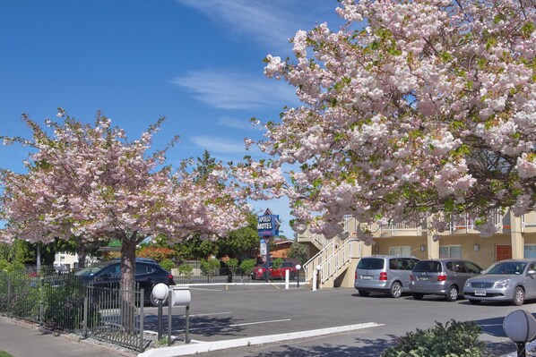 Front of property - Apollo Motel Christchurch (Christchurch)