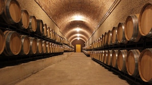 A long, dimly lit corridor lined with wooden barrels on both sides, leading to a door at the end.