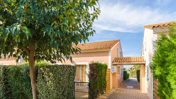 Zona residencial con casas, un camino pavimentado y un árbol.