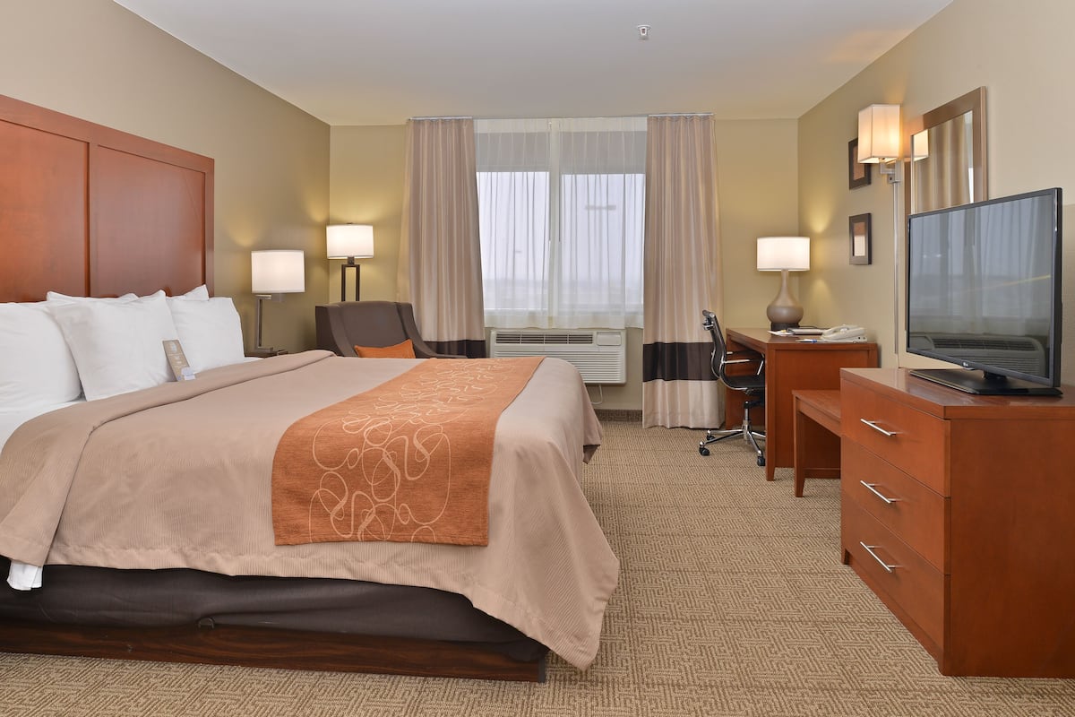 suite, 1 king bed with sofa bed, non smoking | iron/ironing board, free wifi, bed sheets