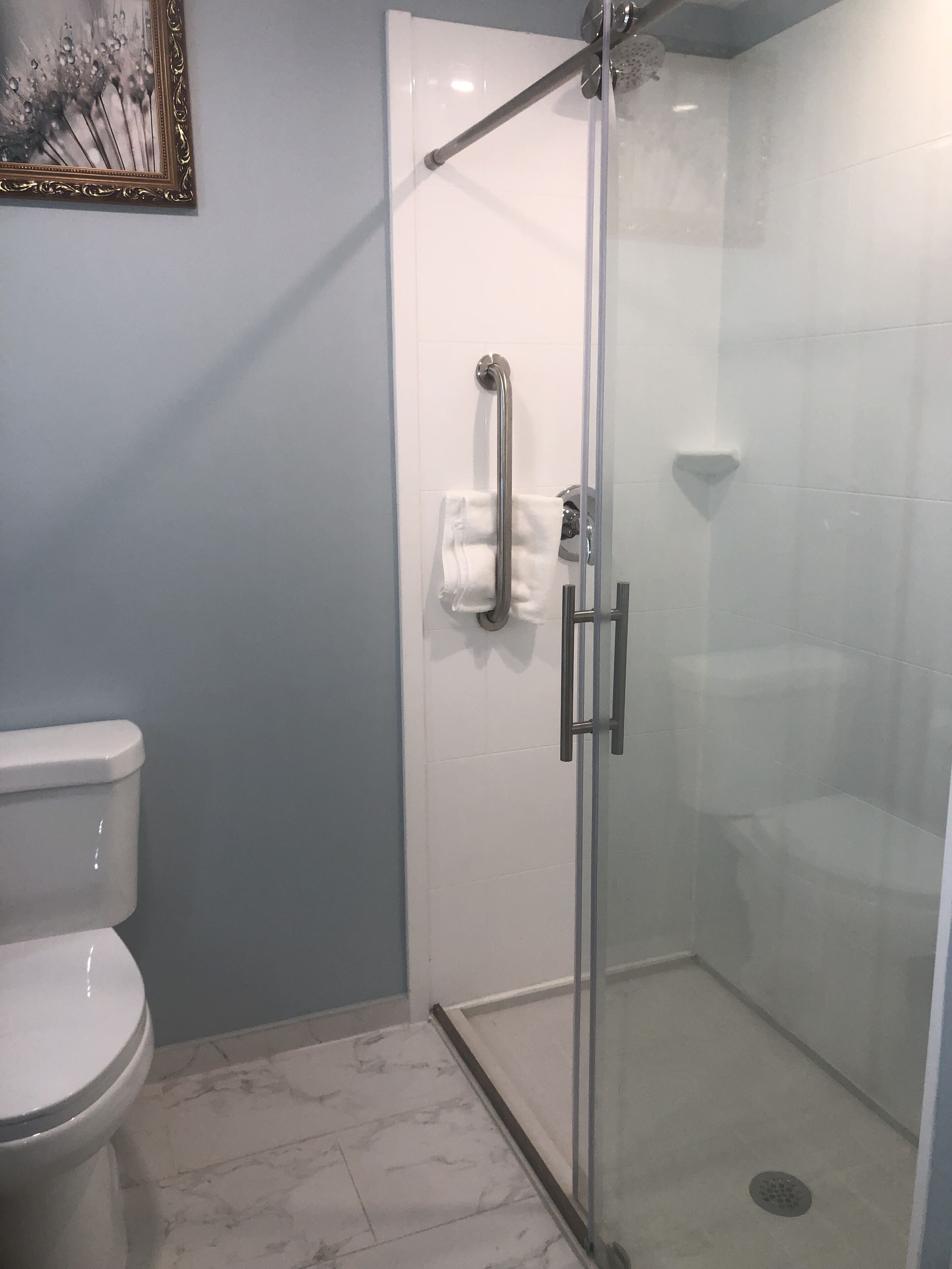 combined shower/bathtub, free toiletries, hair dryer, towels