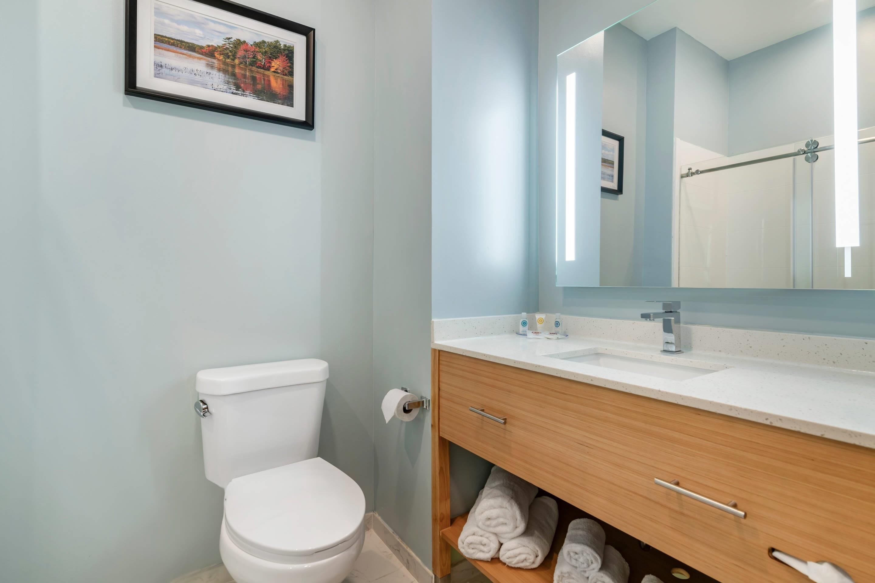 A bathroom with a toilet, a sink, a mirror, and a towel rack.