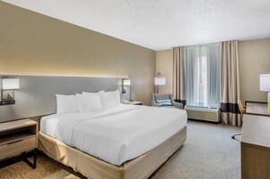 Standard Room, 1 King Bed, Accessible, Non Smoking