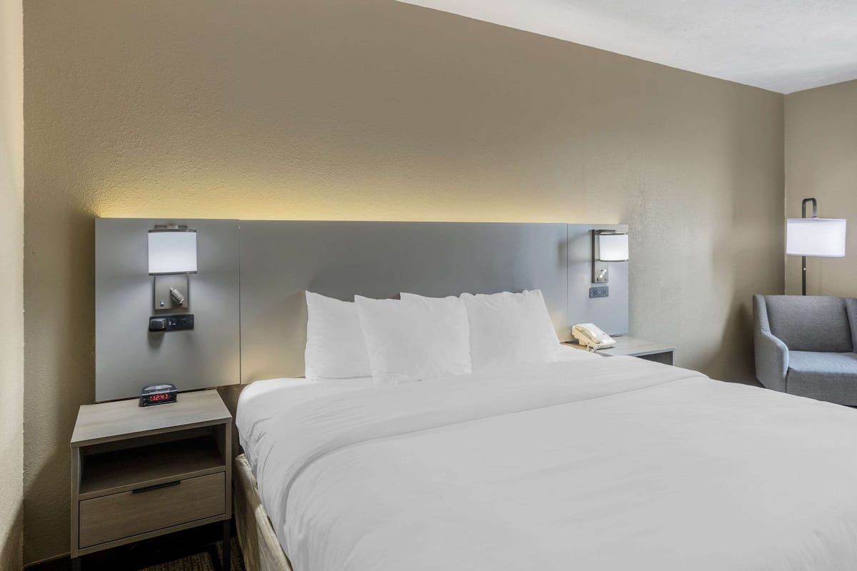 Standard Room, 1 King Bed, Non Smoking | Premium bedding, iron/ironing board, rollaway beds, free WiFi