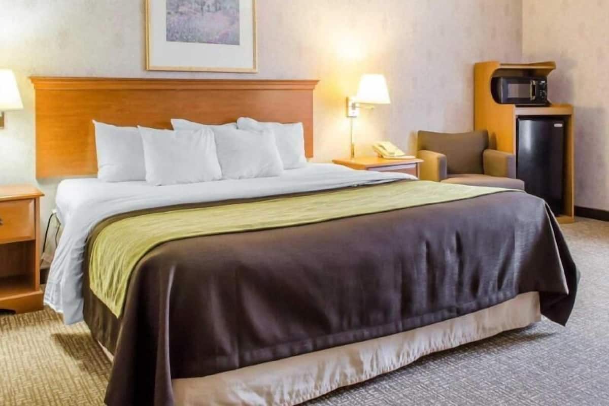 Premium bedding, iron/ironing board, rollaway beds, free WiFi