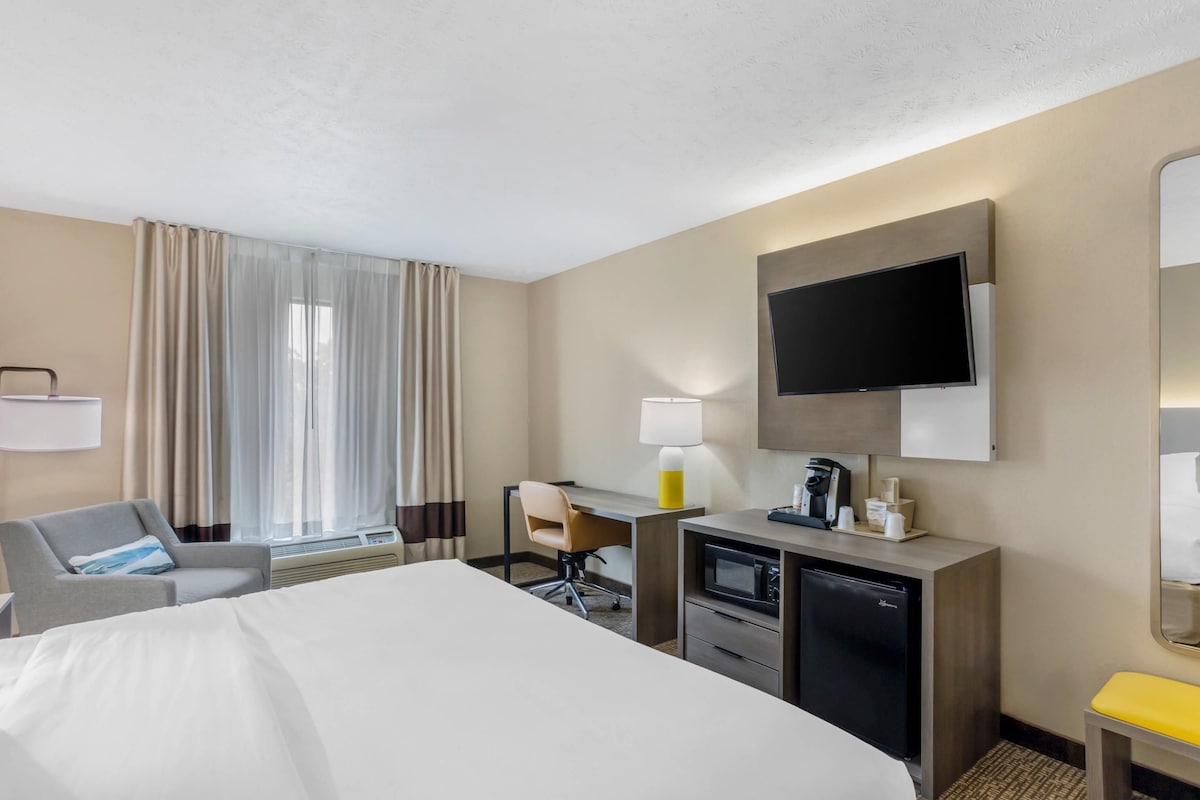 Standard Room, 1 King Bed, Accessible, Non Smoking