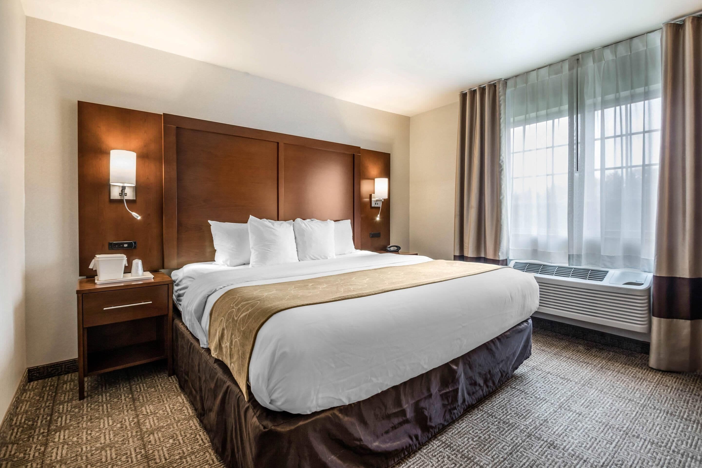 suite, 1 king bed with sofa bed, non smoking | premium bedding, in-room safe, desk, laptop workspace