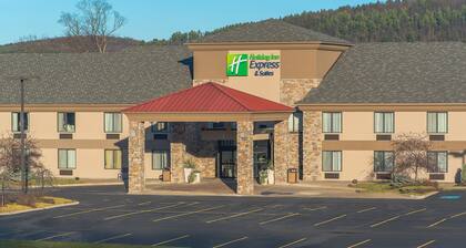  Holiday Inn Express & Suites Cooperstown